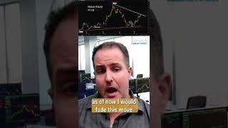 TSLA Path to Retest $480 Near All-Time High #shorts
