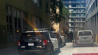 Swarm of police respond to man in alley call for more backup !!!