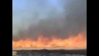 Buffelgrass Fire Behavior