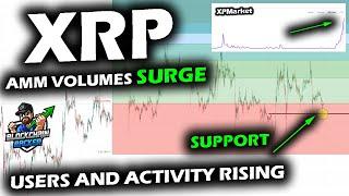 XRP Price Chart Bounces on Support as USER ACTIVITY EXPLODES with AMM VOLUME, Awaits Bitcoin Lead