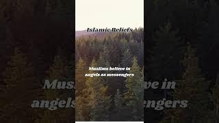 Islamic Quiz, Info, Teaching, Prophet Life, History, Event, Belief, Law, Facts