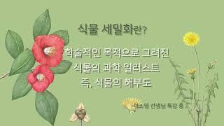 식물탐구생활 - 녹색 식물이 주는 싱그러움! 식물 세밀화