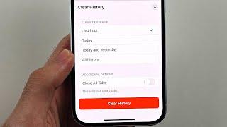 How To Clear History on Safari in iPhone iOS 18