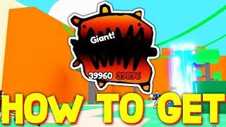 HOW TO GET THE BEST PET in DOODLE PETS! ROBLOX