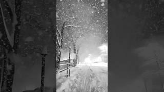 White winter night with heavy snow