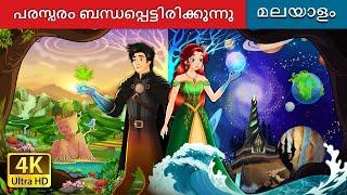 പരസ്പരം ബന്ധപ്പെട്ടിരിക്കുന്നു | Interconnected Story in Malayalam | @MalayalamFairyTales