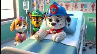 Oh No! MARSHALL Got Sick - What Really Happened?Funny Story | Paw Patrol Ultimate Rescue| Rainbow 3