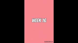 WEEK 16