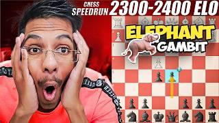 ELEPHANT GAMBIT | Chess Rating Climb 2300 to 2400 ELO