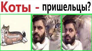 ПРИКОЛЫ! КОТЫ   ПРИШЕЛЬЦЫ!!! Угарные МЕМЫ, смешные истории от Доми шоу!