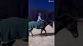 eq practice