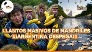 NOTICIAS CATASTRÓFICAS PARA LOS MANDRILES: "LA ARGENTINA DE MILEI DESPEGA, LOS MERCADOS VUELAN"