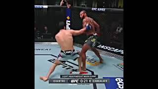 Magomed Ankalaev king UFC