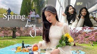 Nhật ký mùa xuân Ep.2 | Spring diary | Đi picnic ở vườn đào xinh | Du học Pháp | Bạch Lưu Dương