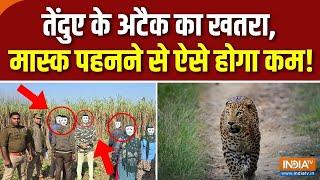 UP Bijnor Leopard Attack: यूपी का  शहर डरा हुआ..घात लगाए बैठा तेंदुआ | Tendua VIral Video | UP News