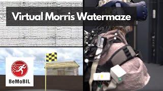 Virtual Morris Watermaze: Mobile Brain-Body Imaging in Clinical Population