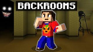 Die Backrooms - Ein Minecraft Horrorfilm