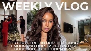 WEEKLY VLOG | FIRST CHRISTMAS TREE IN OUR PENTHOUSE! + FURNITURE SHOPPING + NEW TV | ALWAYSAMEERA