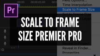 SCALE TO FRAME SIZE IN PREMIER PRO - THE MOST IMPORTANT SKILL TO REMEMBER