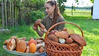 Picking and cooking Porcini mushrooms, INCREDIBLY TASTY. Life in the village