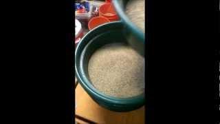EARTHQUAKE - Micron Gold Recovery