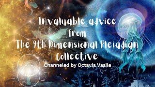 Private channeling session with Octavia Vasile - 9th Dimensional Pleiadian Collective Advice