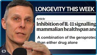 IL-11, Trametinib & Rapamycin = Impressive Lifespan Effects? We Take a Look.