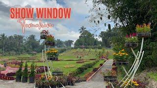 Show Window | Destinasi Wisata di kota Tomohon