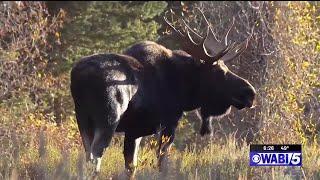 Teen boy suffering from Ewing sarcoma fulfills dream of hunting moose in Aroostook County