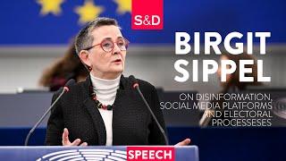 Birgit SIPPEL - on disinformation, social media platforms and electoral processes