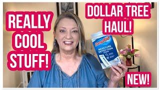 DOLLAR TREE HAUL | Super Cool Stuff! | WOW | DT NEVER DISAPPOINTS #haul #dollartree #dollartreehaul