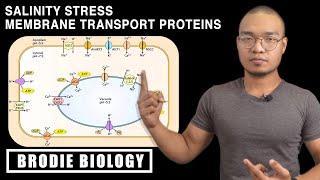 PLANT STRESS PHYSIOLOGY - SALT STRESS MEMBRANE TRANSPORT PROTEINS