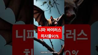 니파 바이러스 펜데믹, 치사율90%