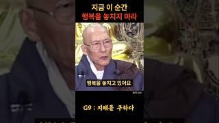 법정스님 지금 이 순간의 행복을 놓치지 마라 #불교 #위로 #법문 #인생조언 #자기계발 #부처님말씀 #석가모니 #동기부여 #인생명언 #감동 #강연