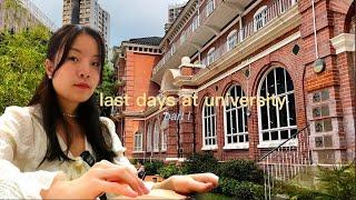 my last days at university | the university of hong kong 香港大學 | korean class, law library