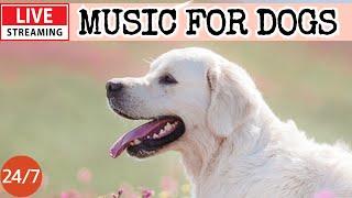 [LIVE] Dog MusicDog Calming MusicDog Separation Anxiety ReliefDeep Sleep Music For Dogs19