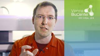 Moritz Gaidt | Scientist Snapshot | IMP, Vienna BioCenter