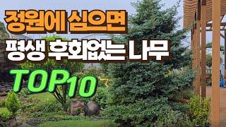 정원에 심으면 평생 후회없는 나무 TOP10