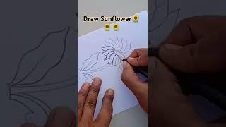 How to Draw a Realistic Sunflower