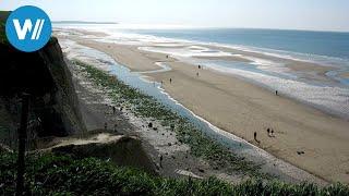 Pas de Calais: Das gefährliche Nadelöhr zwischen Nordsee und Ärmelkanal | An der Nordseeküste (3/5)