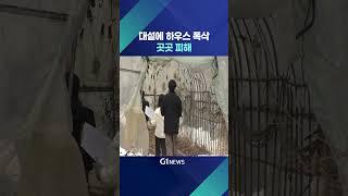 [G1뉴스] 산간 대설 하우스 폭삭..곳곳 피해