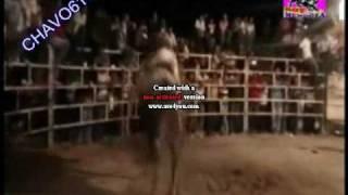 duende de rio grande vs 3 toros