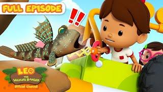 Catch that walking fish! | Full Episode | Leo the Wildlife Ranger | Kids Cartoons