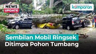 Pohon Besar di Farmhouse Diduga Lapuk, Tumbang dan Timpa Mobil Parkir