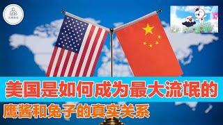 美国是如何成为五常里最大的流氓的？鹰酱与兔子的真实关系究竟如何？