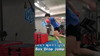 스타트가 빨라지고 싶다면 Box Drop Jump   #피지컬트레이닝 #선수트레이닝