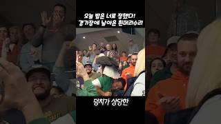 오늘 밥은 너로 정했다! 경기장에 날아온 흰머리수리