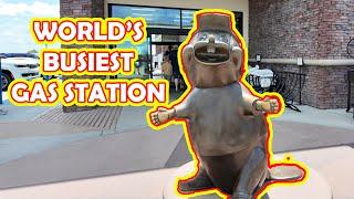 Road Trip to Buc-ees! - Daily Vlog : E19S2024