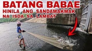 Pinupulot Nalang Ng Bata At Ina Ang Napakaraming Isda Sa Bansang Taiwan