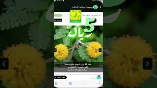 تم افتتاح المتجر الالكتروني لمجموعة بساتين الزراعية ، الرابط في الوصف